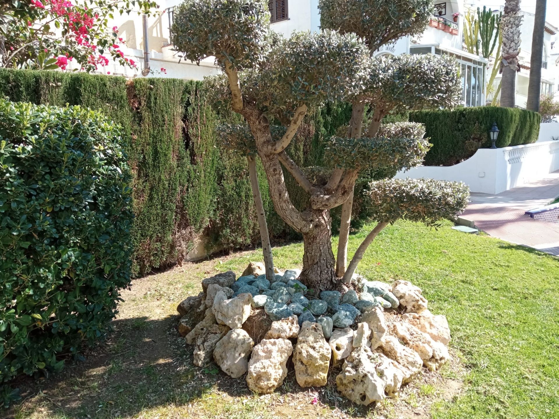 Casa del Ancla Torrevieja, urbanización Camposol Aguas Nuevas