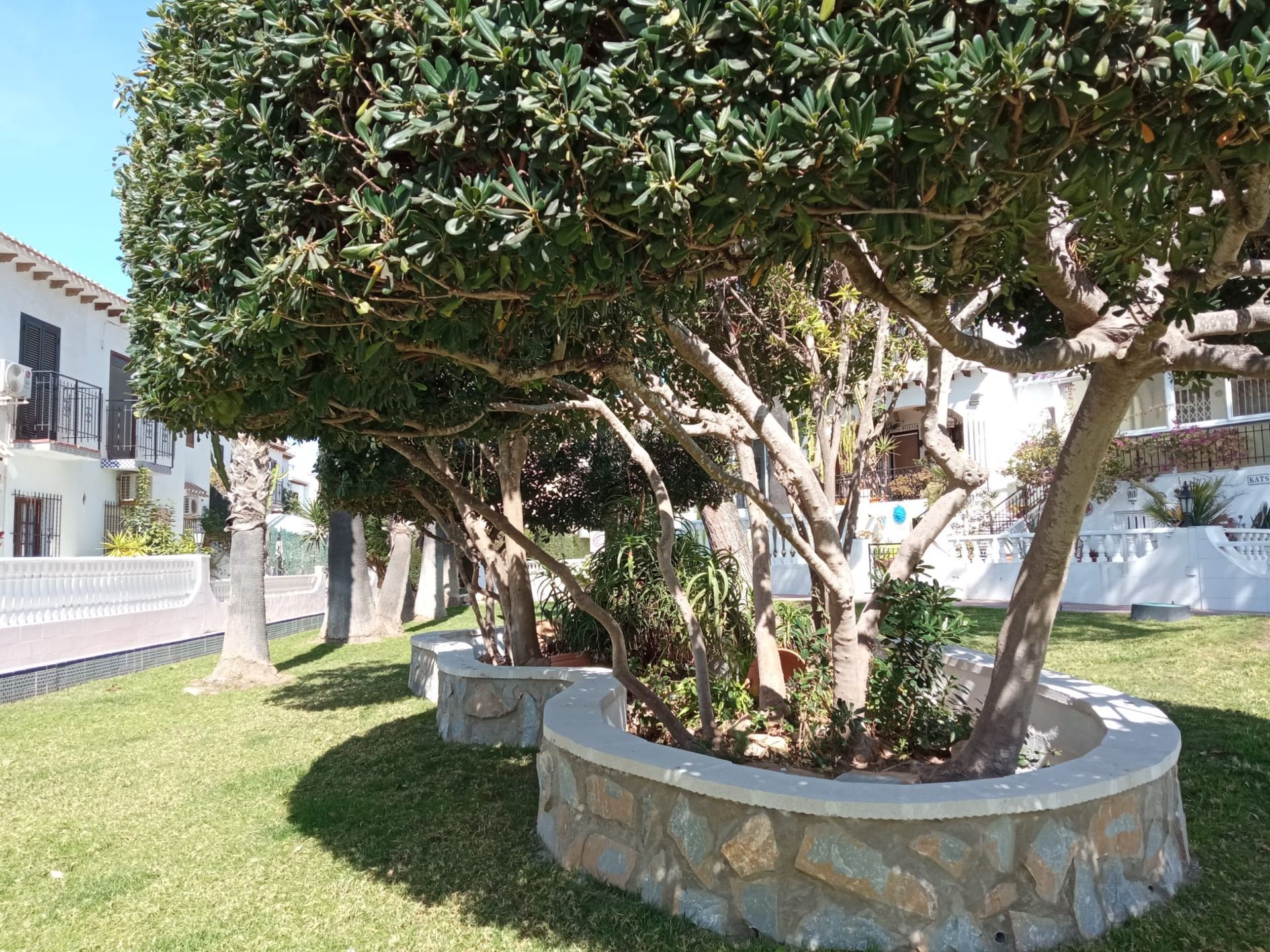 torrevieja playa de la mata casa del ancla camposol aquopolis parque del molino parque aromático zenia boulevar habaneras centro comercial