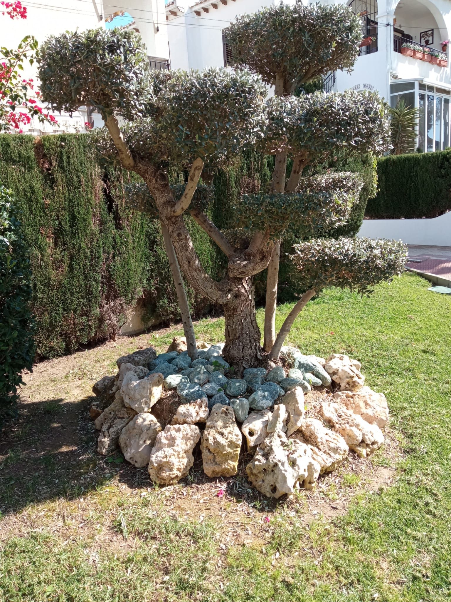 torrevieja playa de la mata casa del ancla camposol aquopolis parque del molino parque aromático zenia boulevar habaneras centro comercial