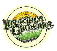 Logo for LifeForce Growers, featuring text and a sun over a patch of grass.