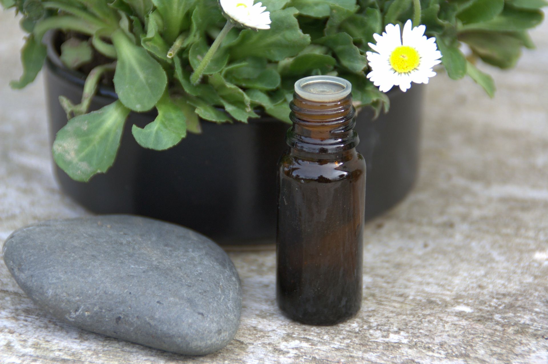 Une bouteille d'huile essentielle à côté d'une plante en pot et d'un rocher.