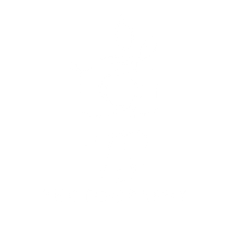 TS photography logo