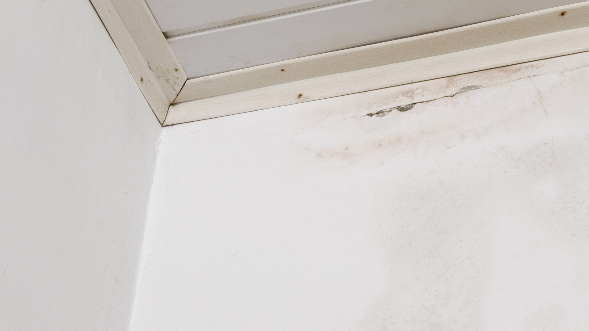 Water Stains On Exterior Walls In Your Home, Signs You Need To Replace Your Siding, Siding Installation Contractor,Beresford, Harrisburg, Sioux Falls SD