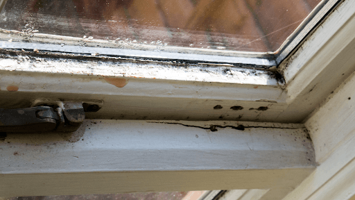 window frame chipped, soft, water damaged, signs window need replacing, window repair, window replacememt, window installation contractor near me, sioux falls sd