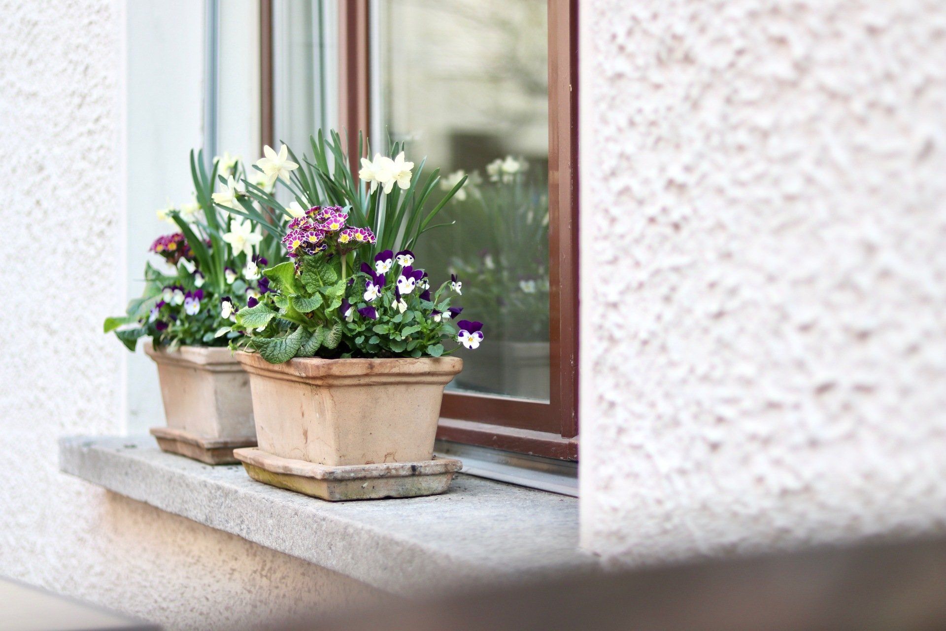 galleria argentino 2