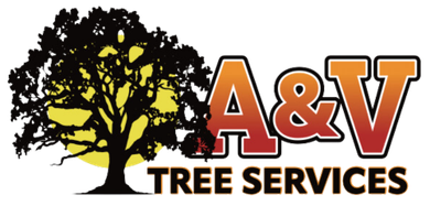 A logo for a company called a & v tree services