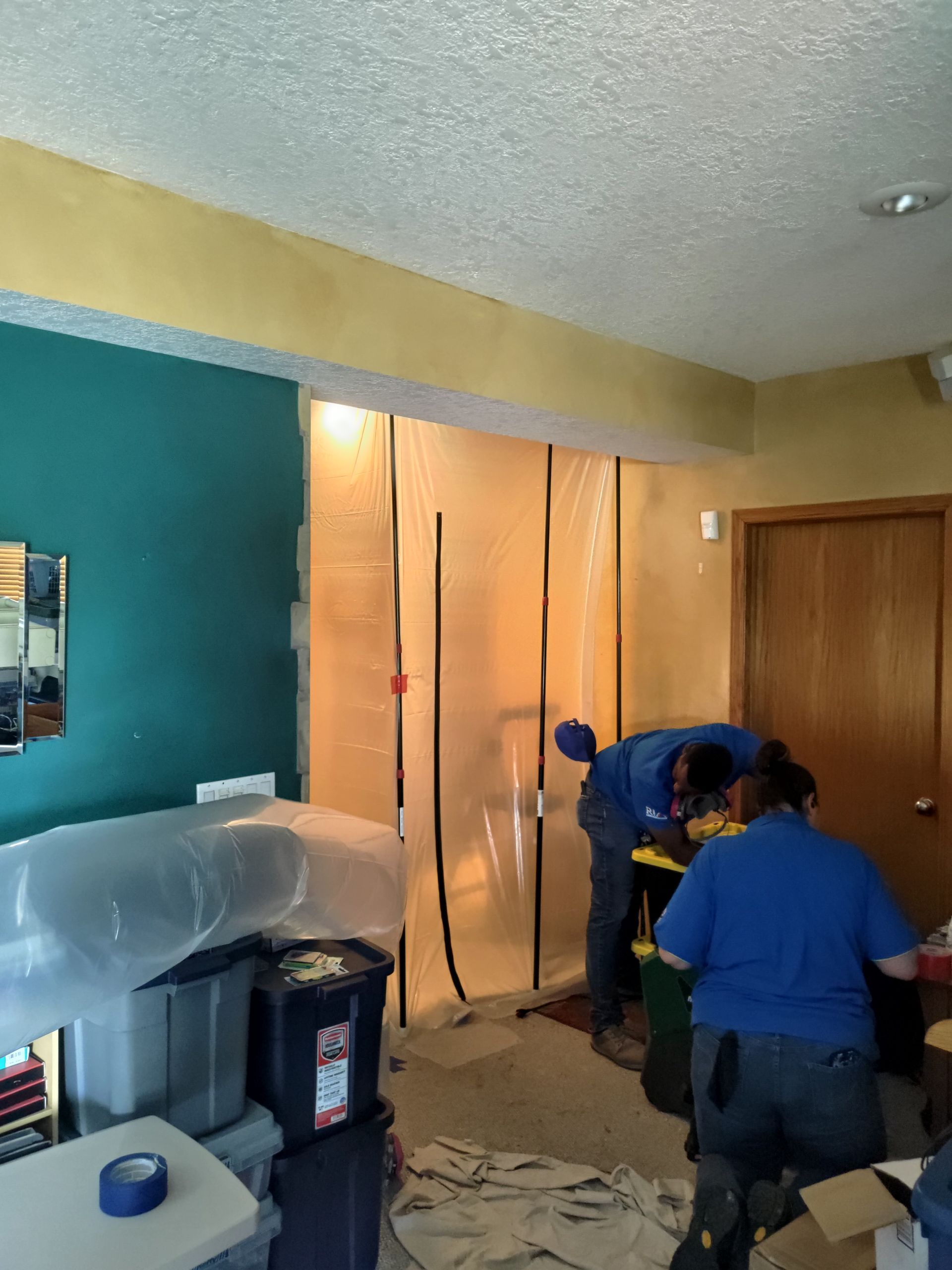 Mold Remedy — Des Moines, IA — MacPro Restore