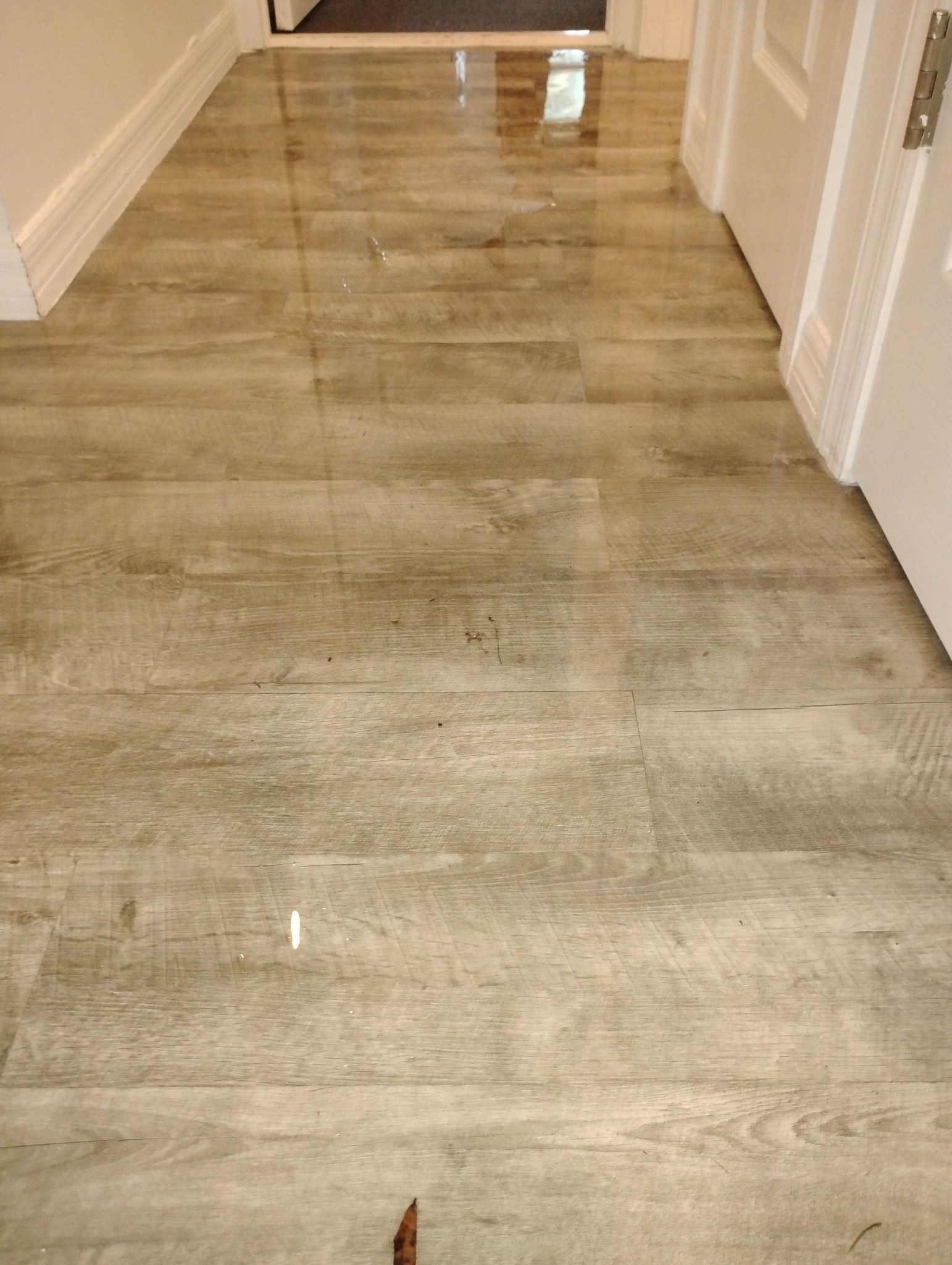 A hallway with a wooden floor and a door.