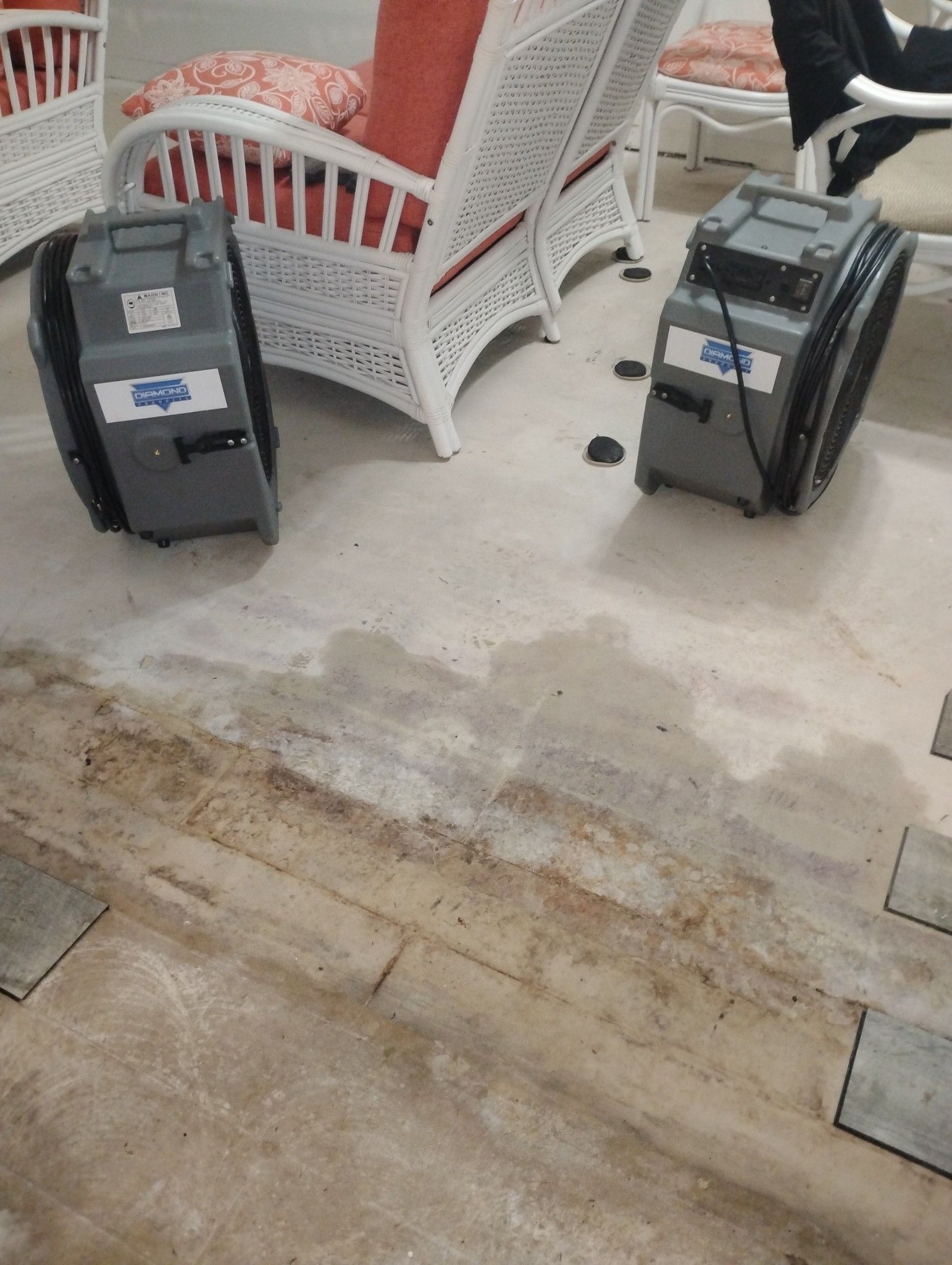 Two fans are sitting on the floor in a living room next to a wicker chair.
