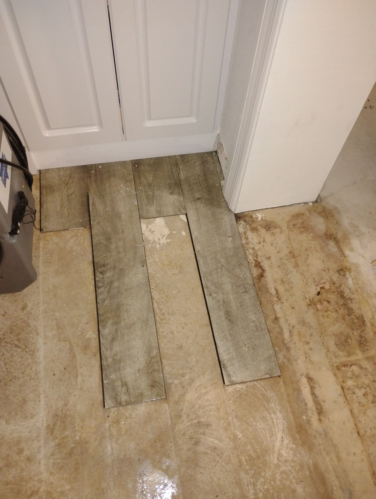 A dirty floor in a room next to a door.