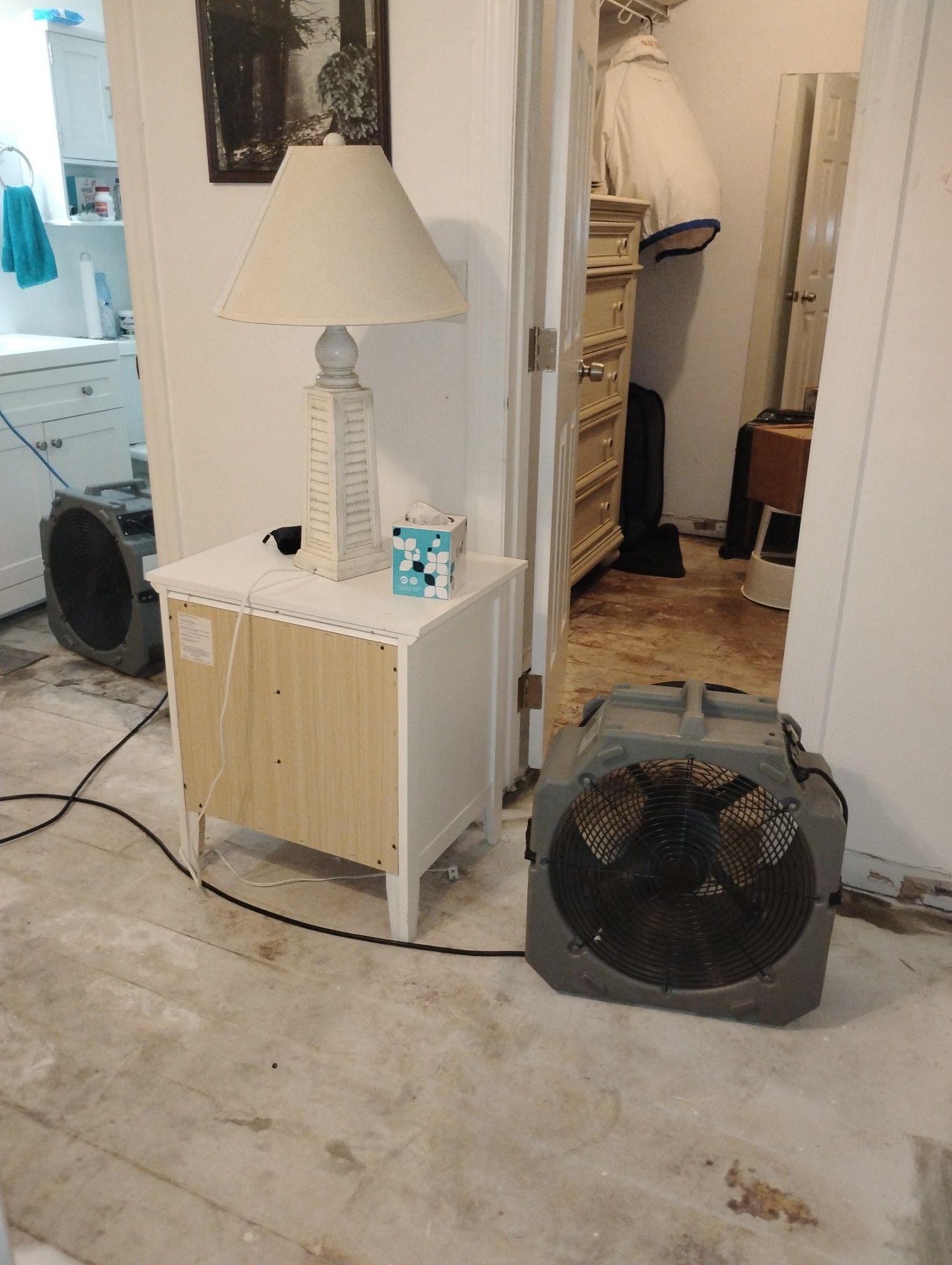 A room with a lamp and a fan on the floor.