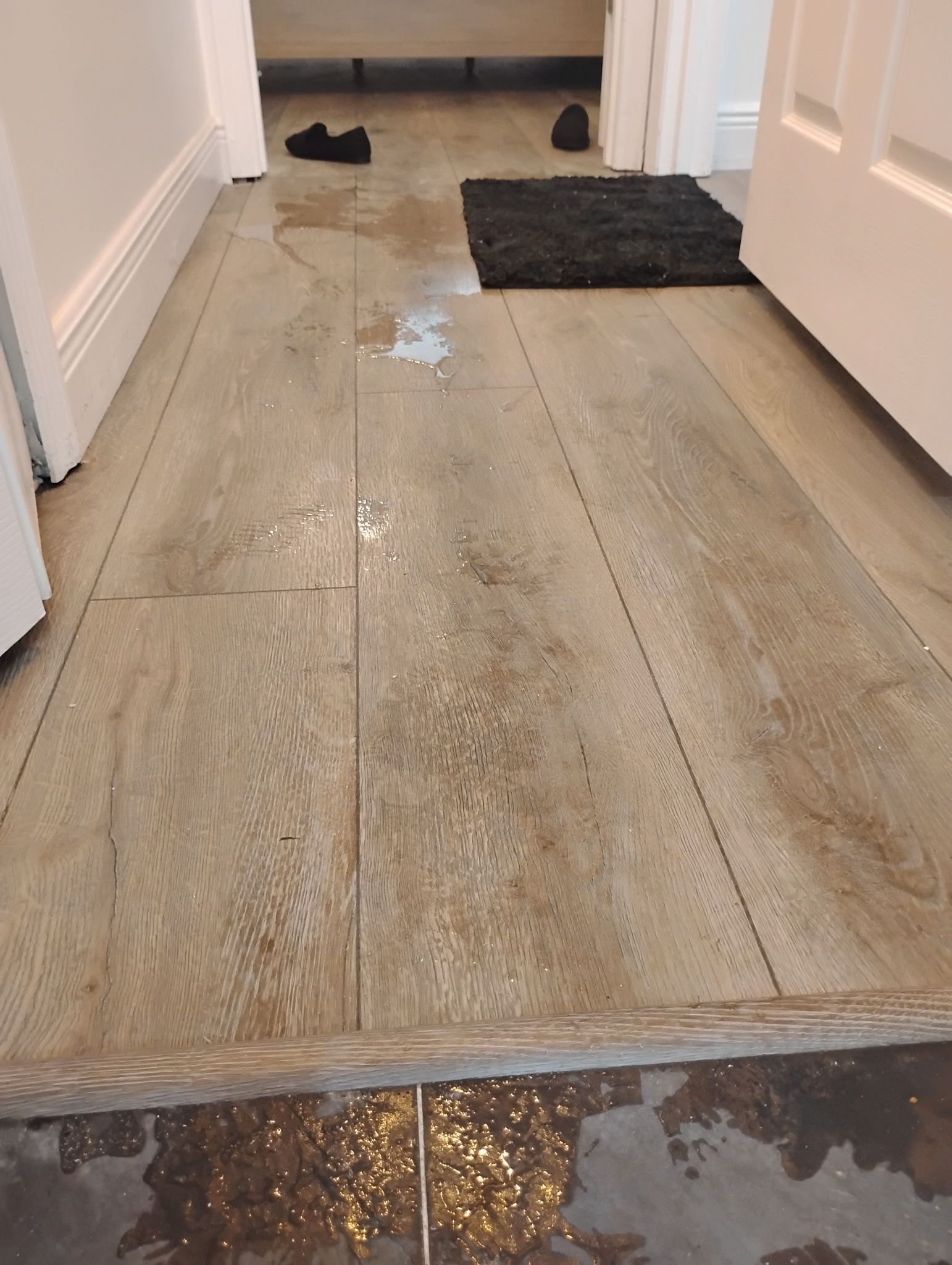 Water on light wood floor in a hallway, with shoes and a rug visible.