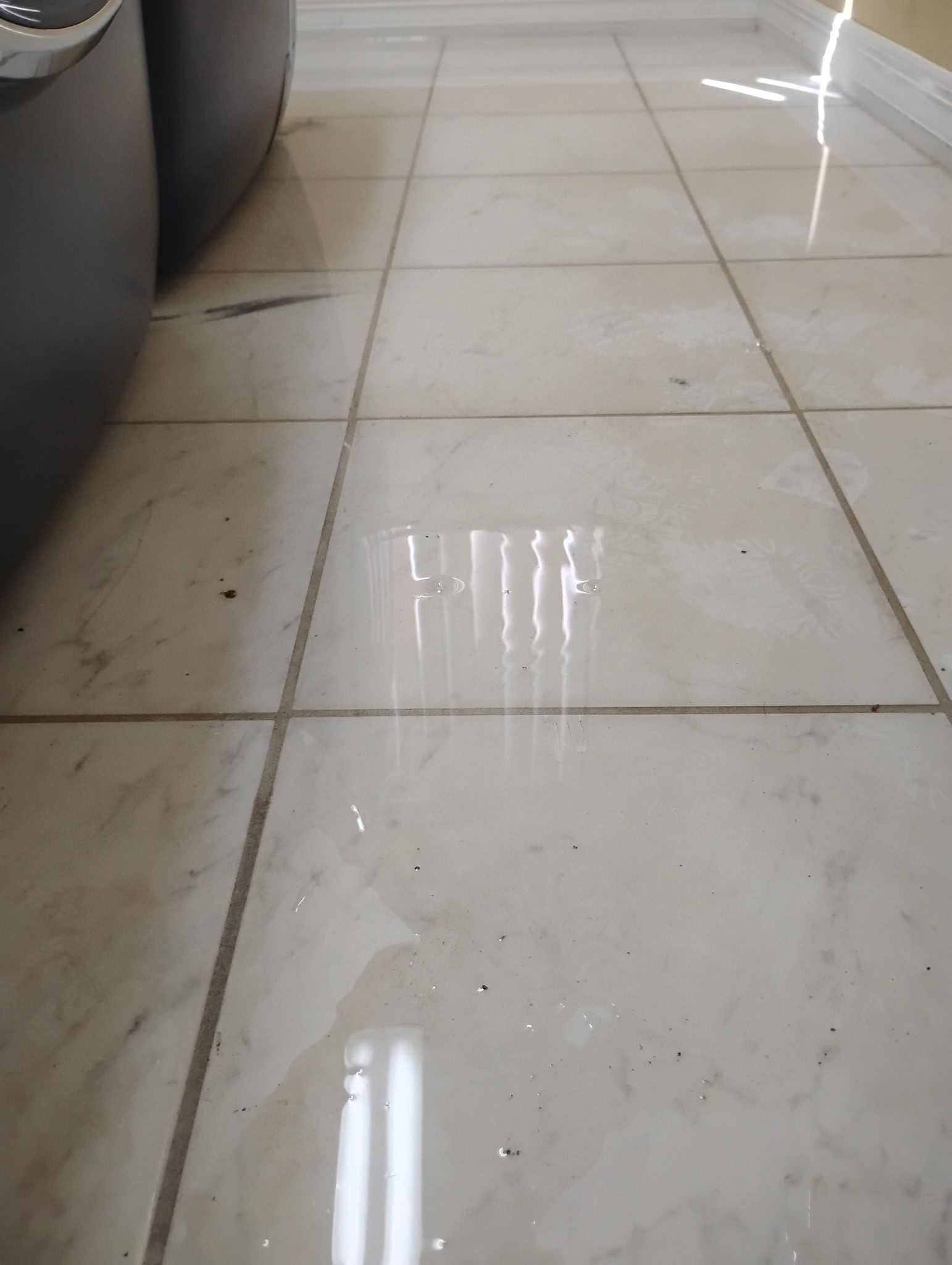 White tiled floor with reflections and small debris, next to a black object.