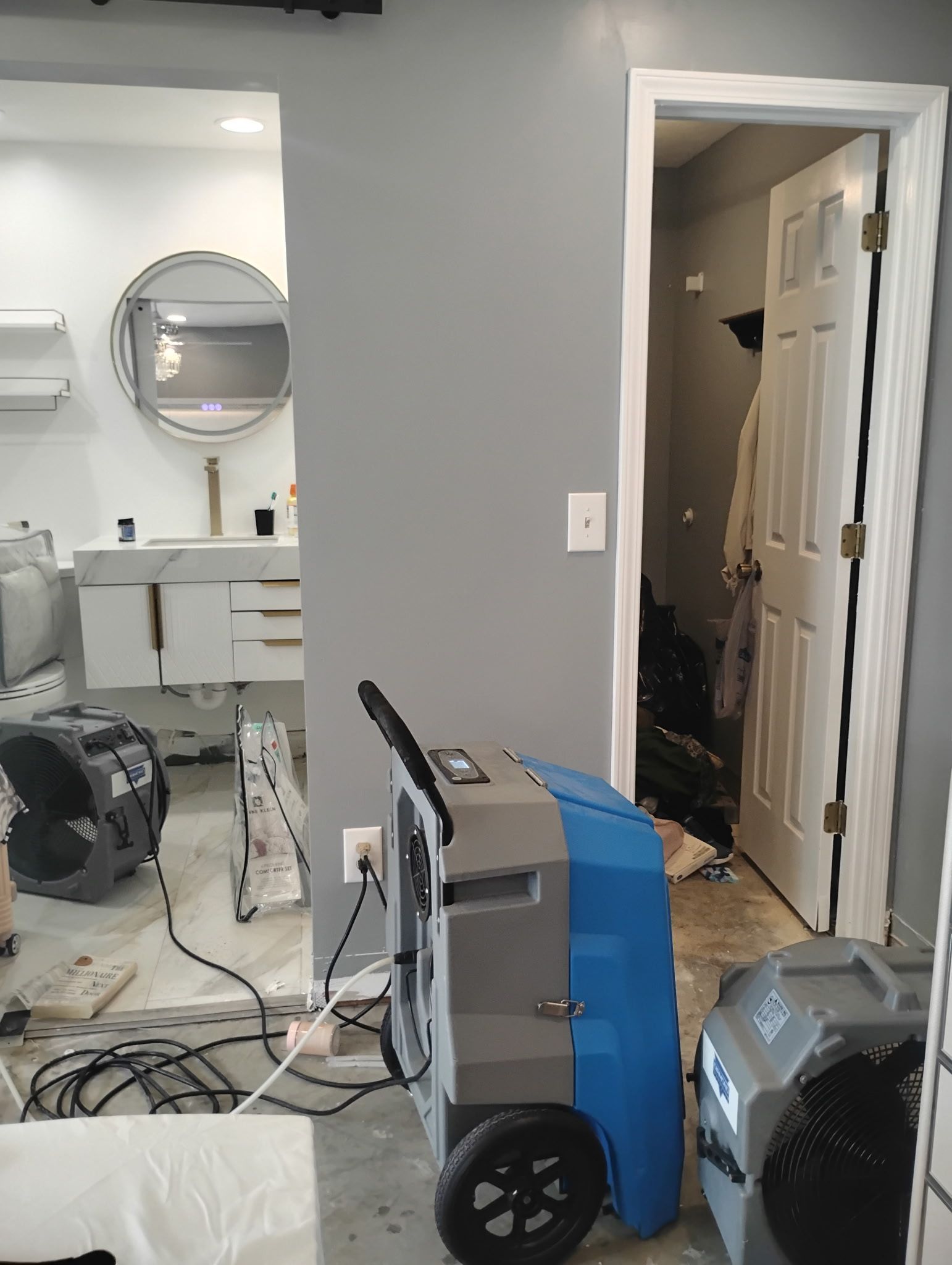Dehumidifiers and fans in a gray room. One door leads to a bathroom, another to a closet with clothes.