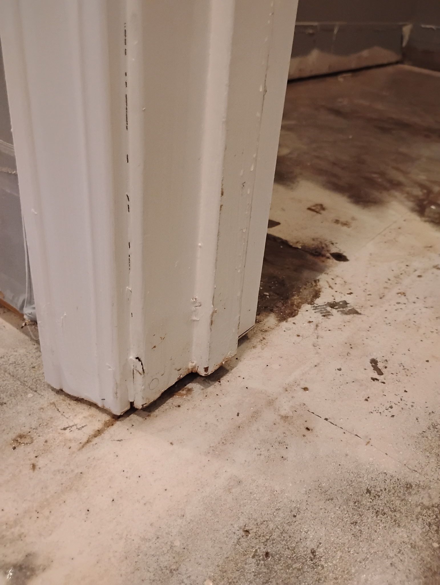 White door frame next to damp, stained concrete floor.