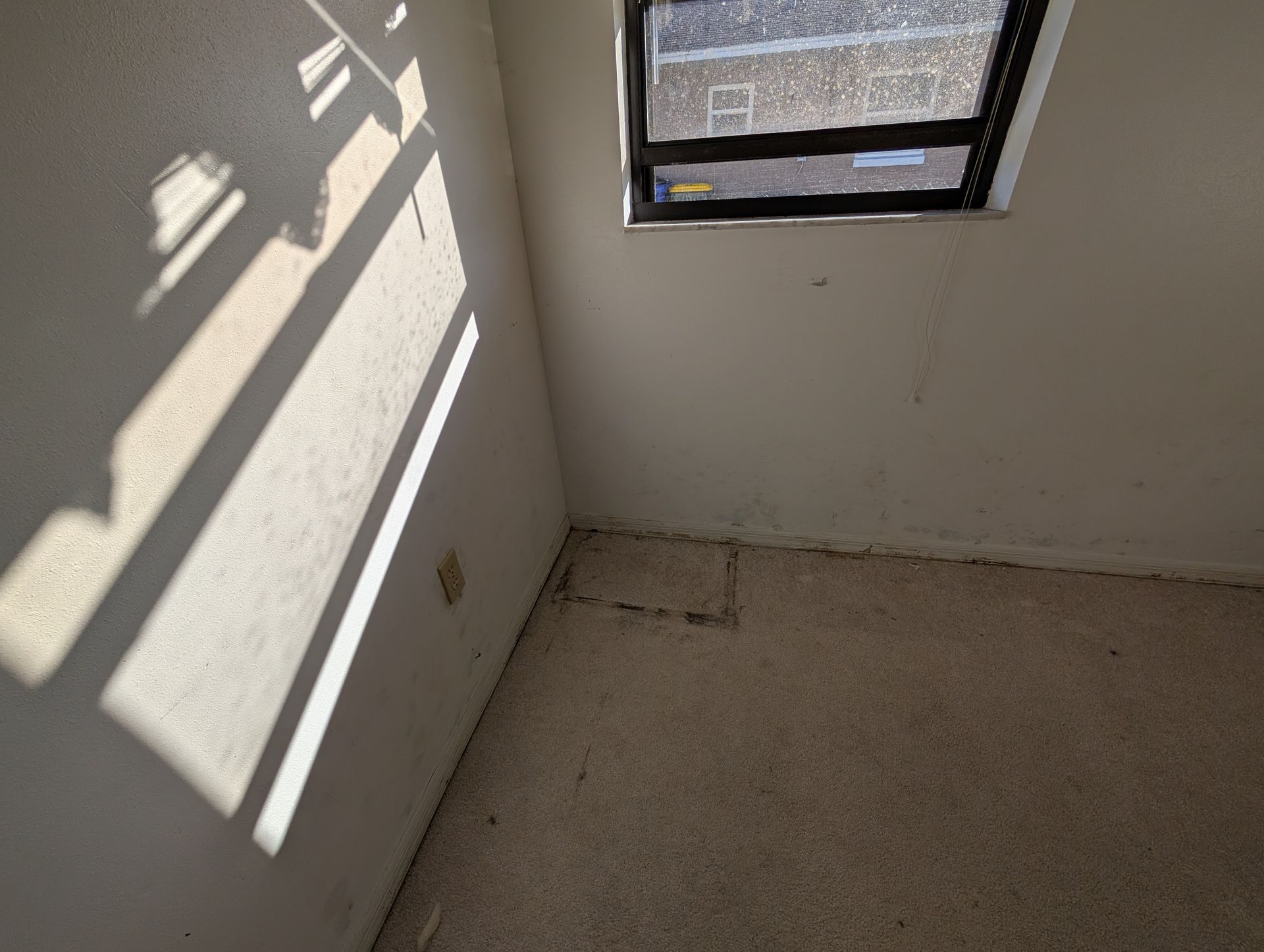 Empty room with small window, dirty walls, and worn carpet; sunlight casts shadows.