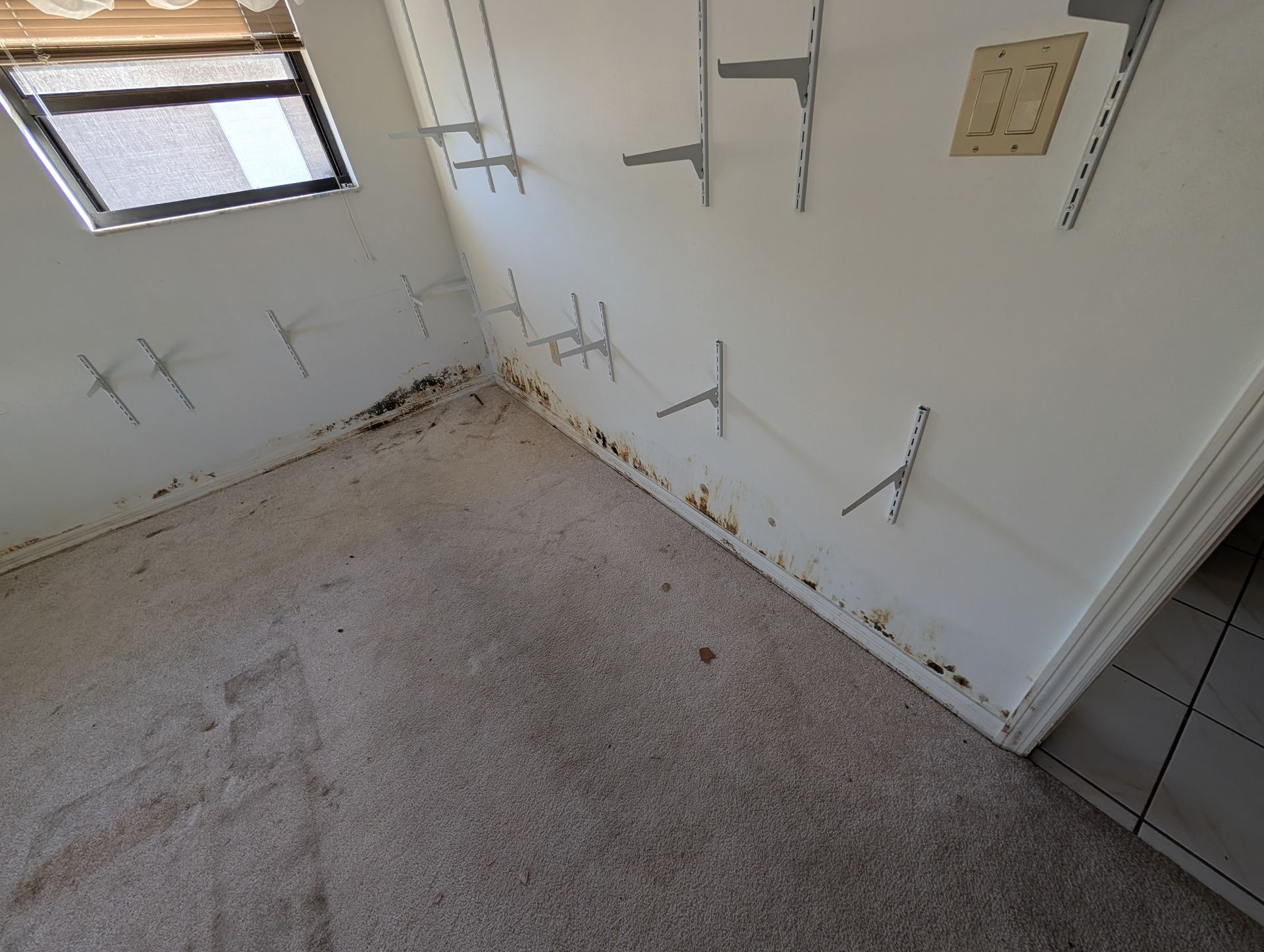 Room with carpet, walls, and shelf brackets; evidence of water damage on the lower walls and along the carpet.