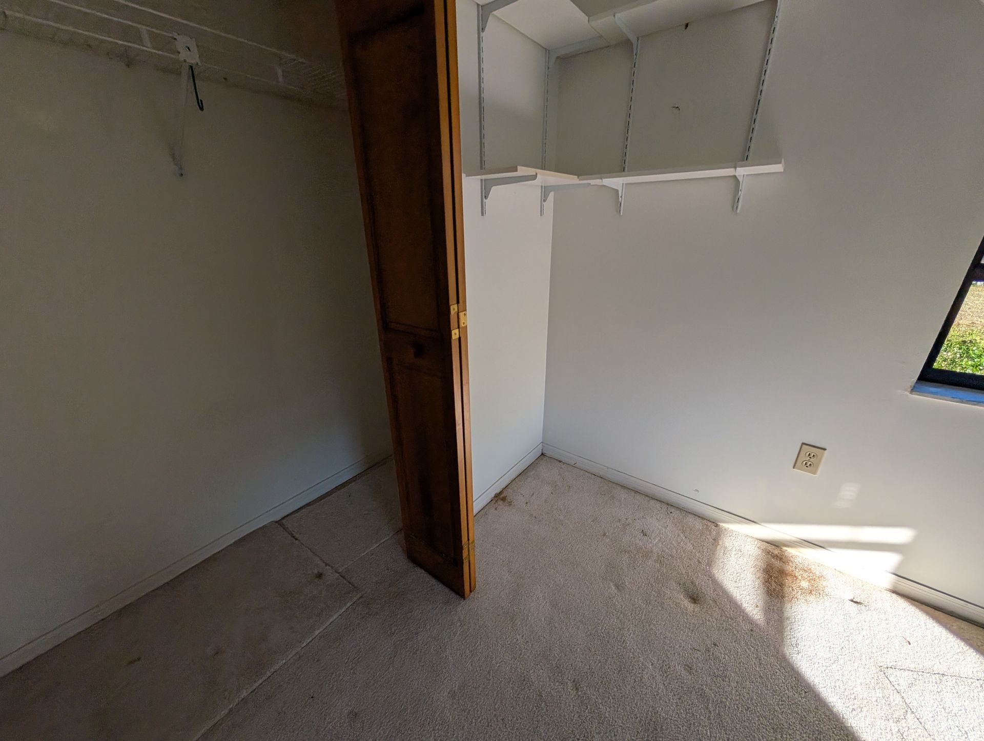 Empty closet with white walls, shelves, and a wooden door. Light brown carpet on floor.