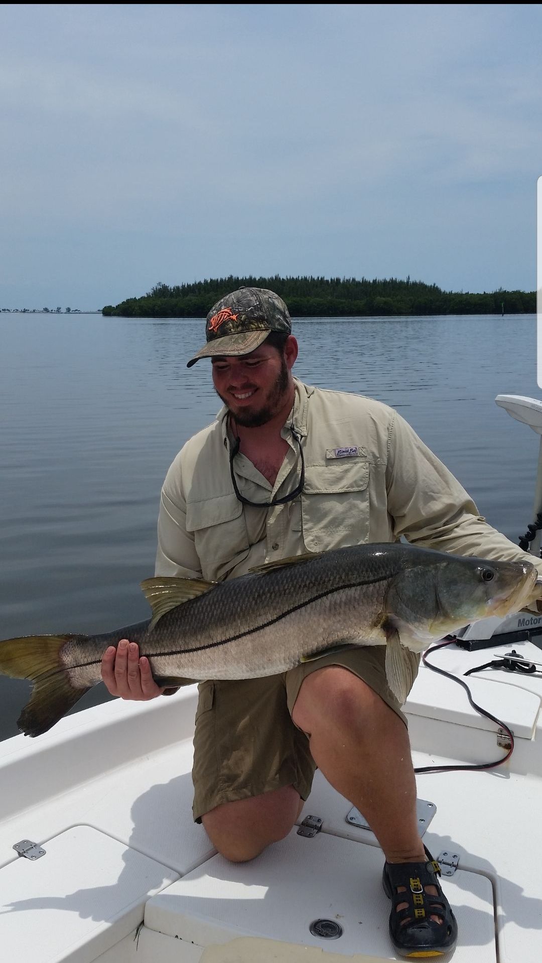 A man is kneeling on a boat holding a large fish.