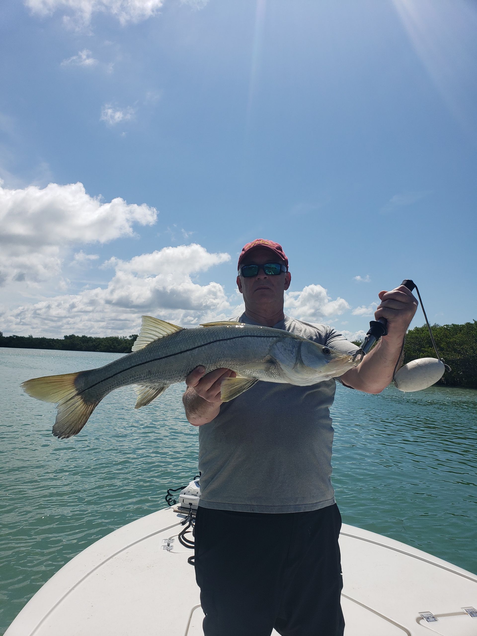 A man is standing on a boat holding a large fish.