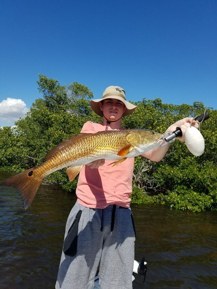 A man is holding a large redfish in his hands.