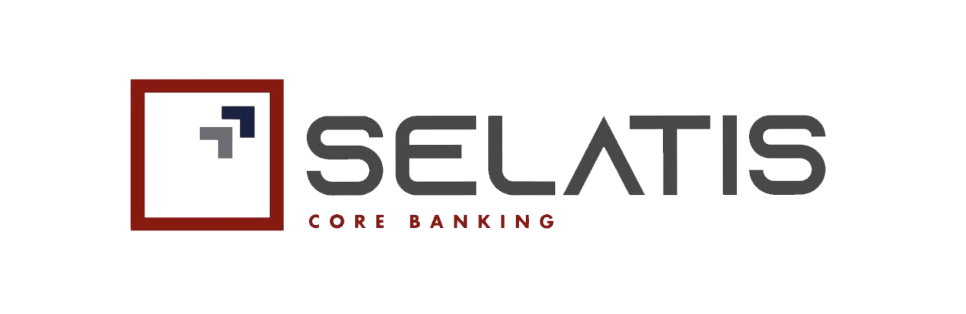 Un logo pour une société appelée selatis core banking