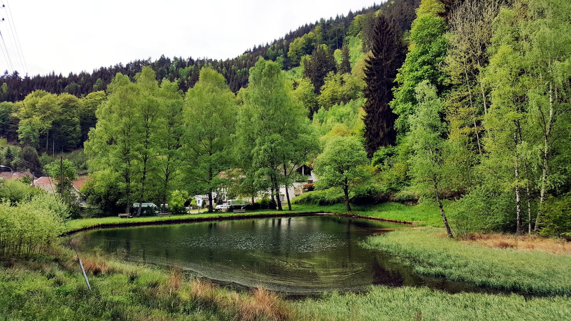 Möllbachweiher Elmstein