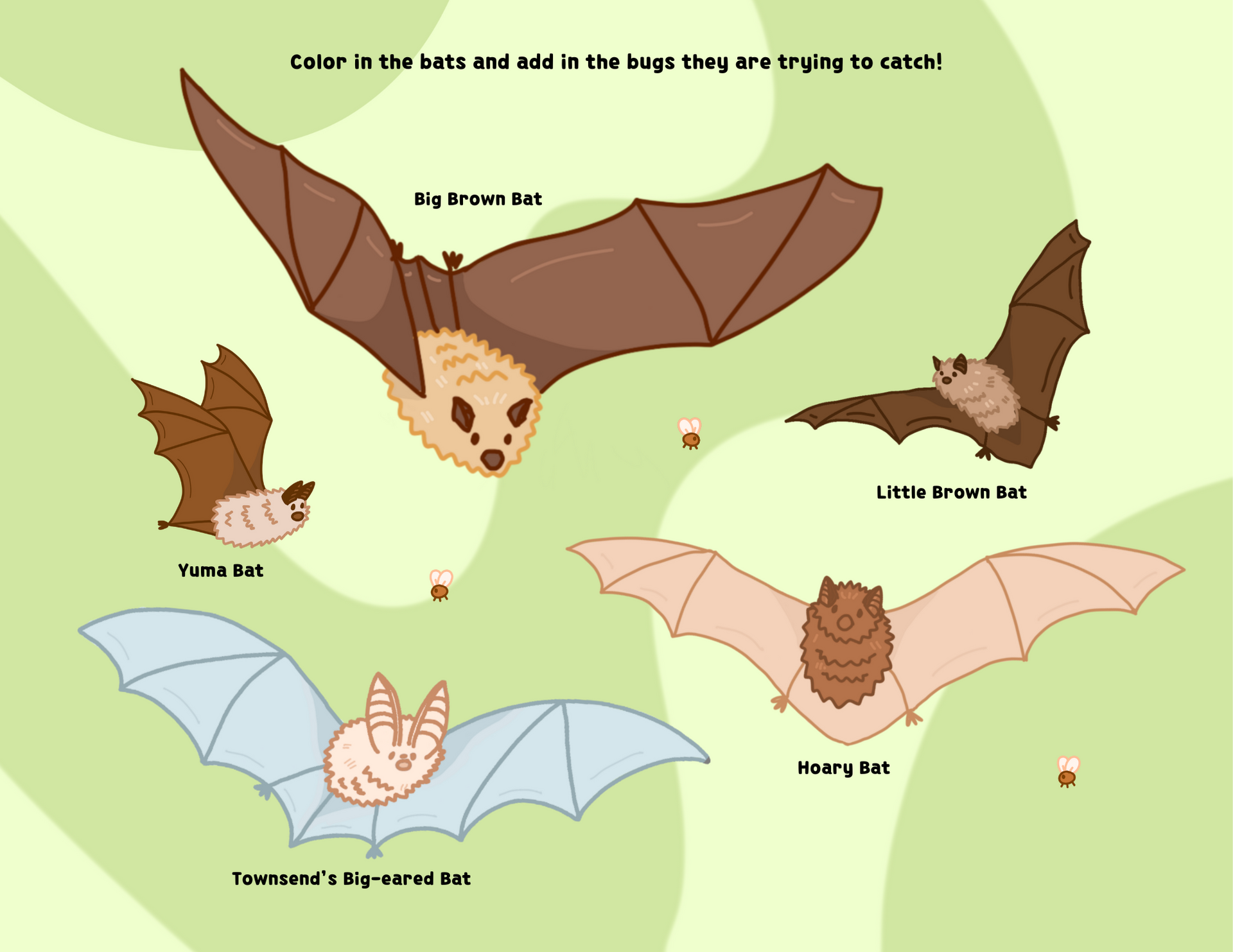 Washington Bats Kids Coloring Page Activity