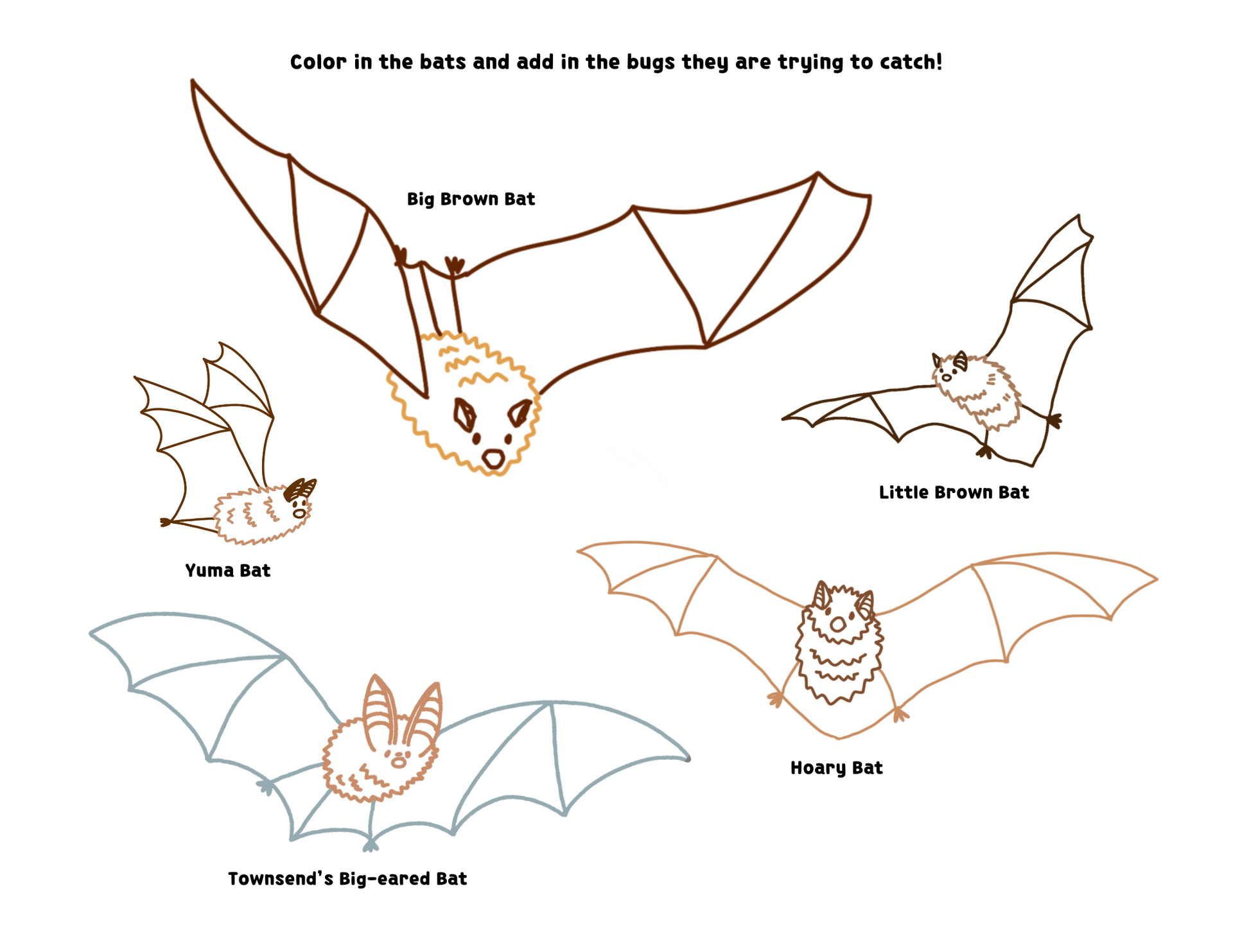 Washington Bats Kids Coloring Page Activity