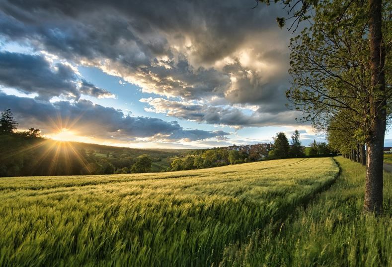 cremation services Bonaire, GA