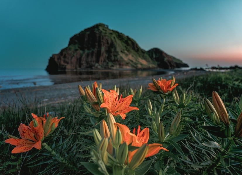 cremation services Kathleen, GA