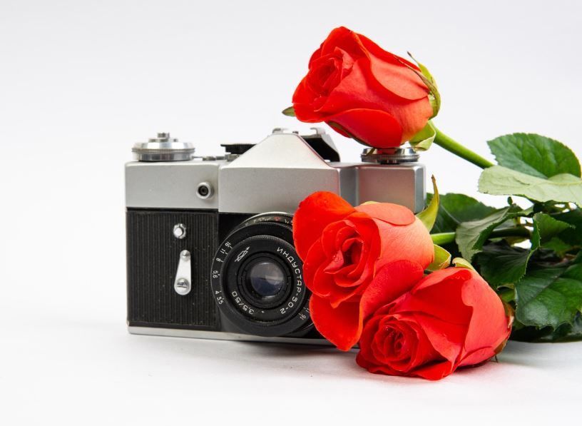 cremation services Warner Robins, GA