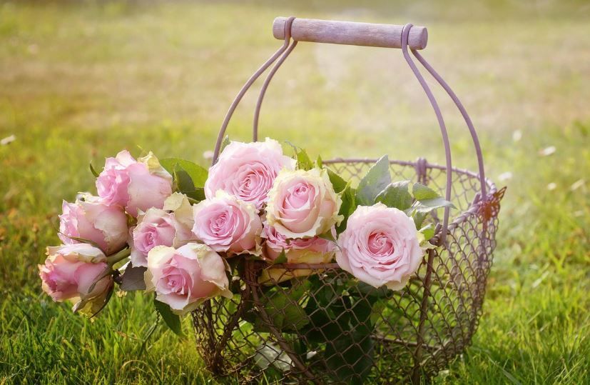 funeral homes Kathleen, GA