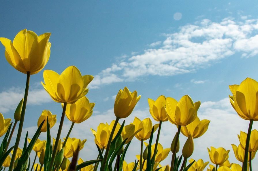 funeral homes Warner Robins, GA