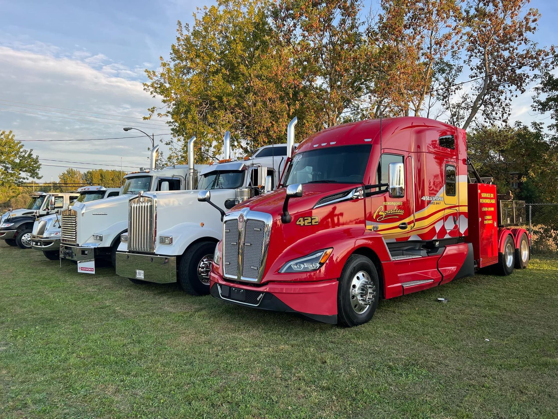 Une rangée de camions garés sur un terrain herbeux. Le camion de tête est rouge avec des motifs décoratifs jaunes et dorés.