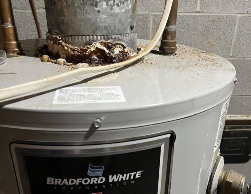 A bradford white water heater is sitting in a basement