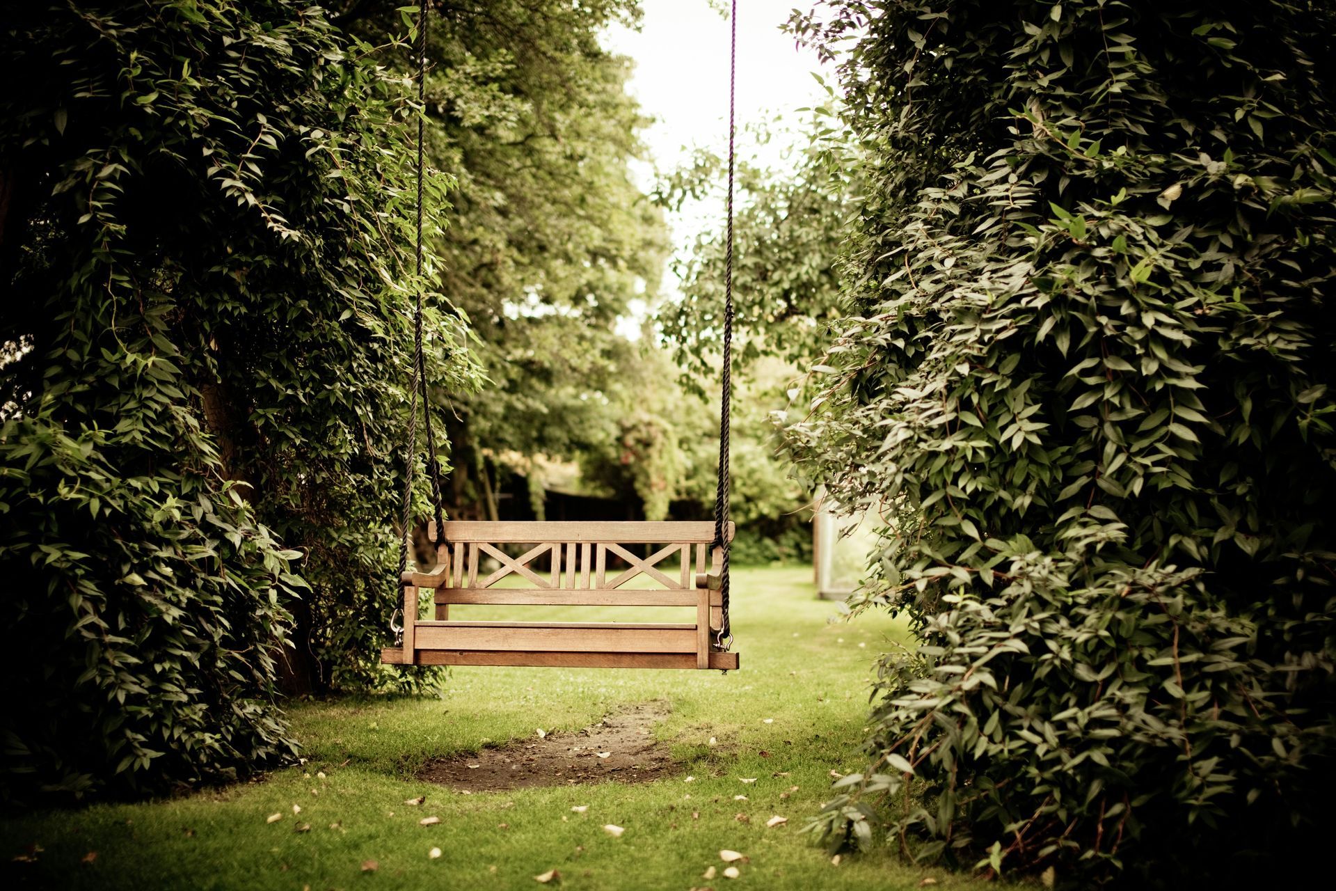 Wooden swing hanging between leafy trees in a serene garden.