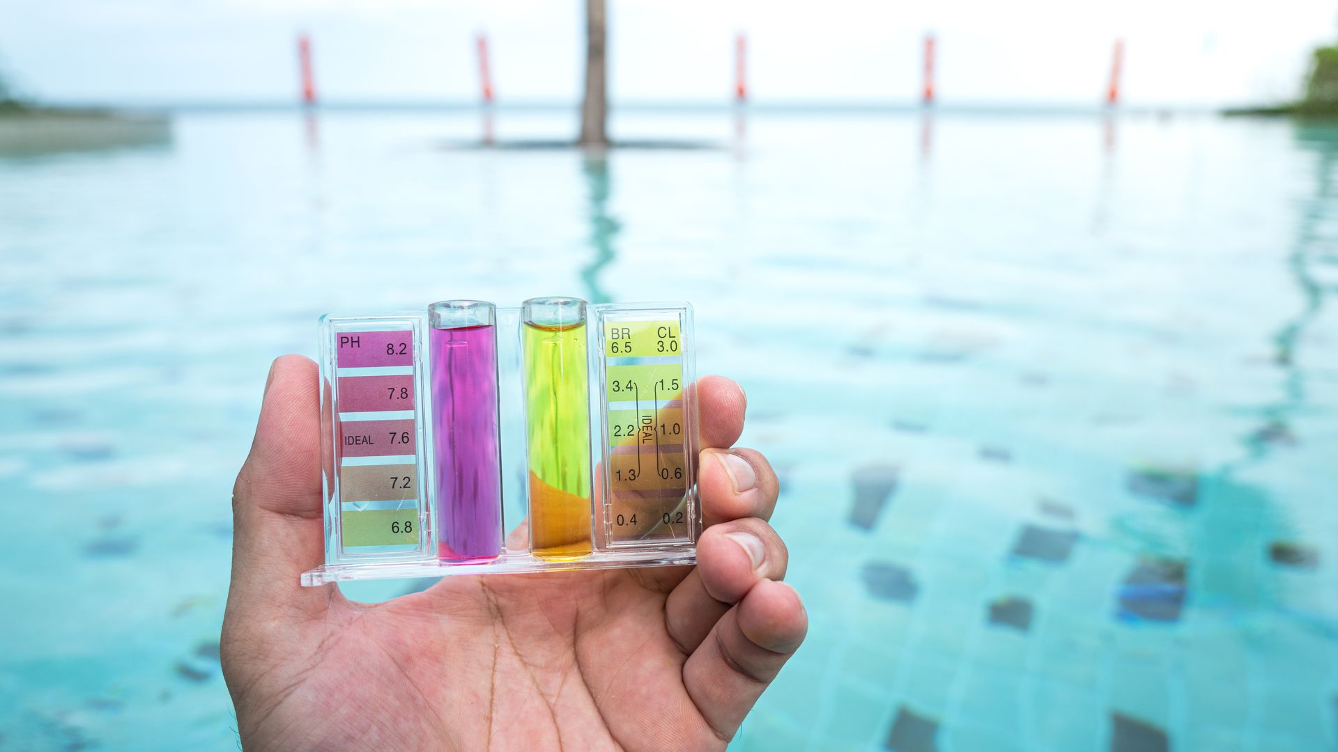 A person is holding a test tube in front of a swimming pool.
