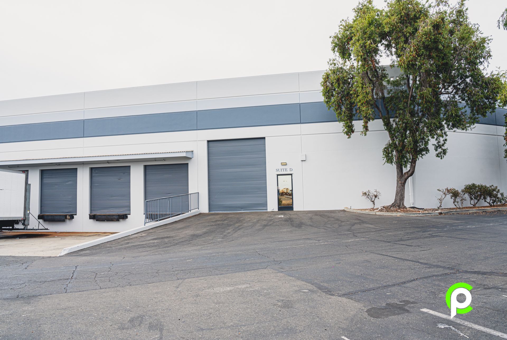 A large white building with a tree in front of it