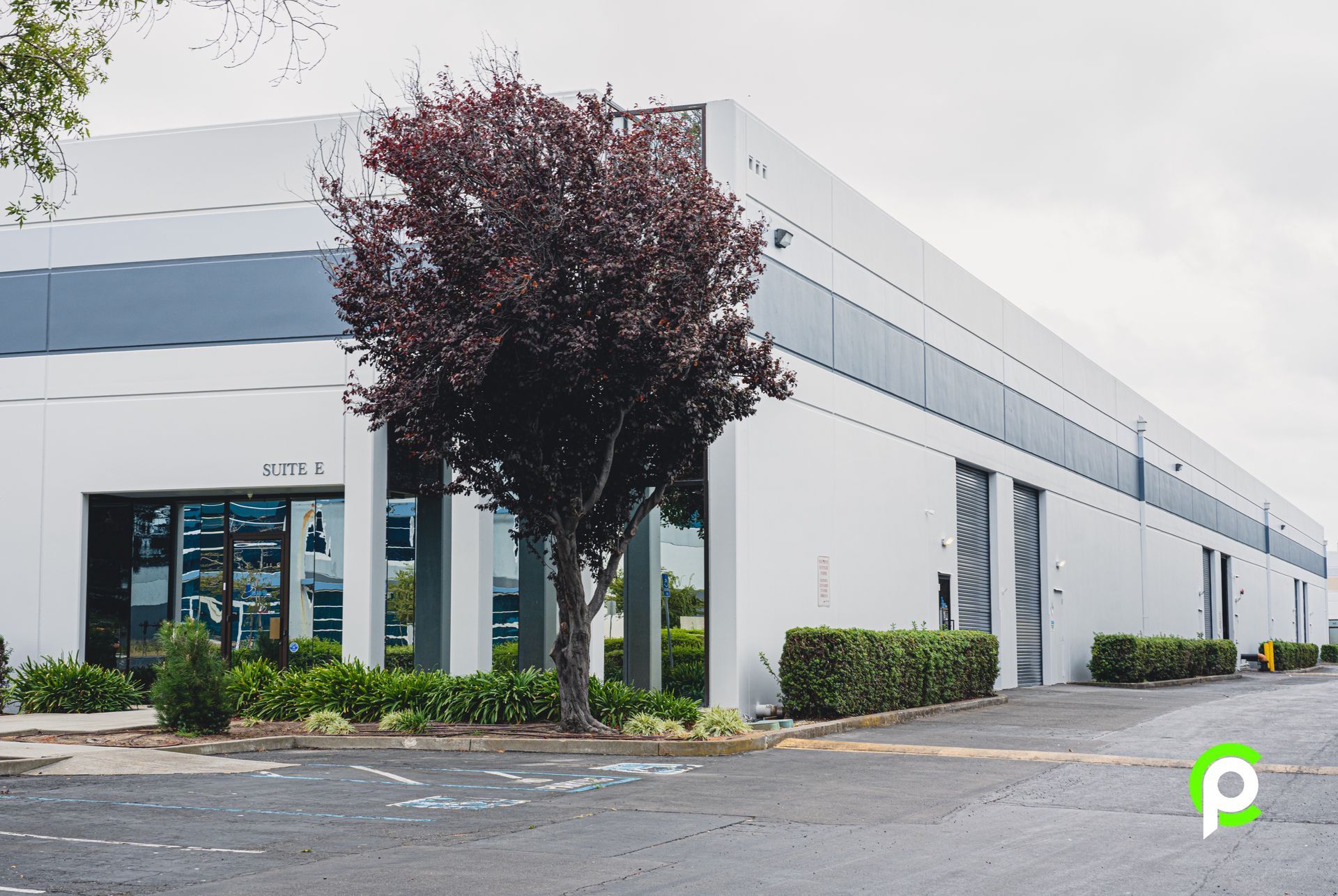 A large white building with a tree in front of it