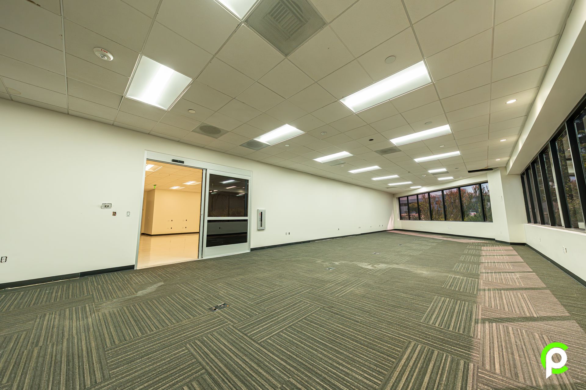 A large empty room with a lot of windows and a carpeted floor.