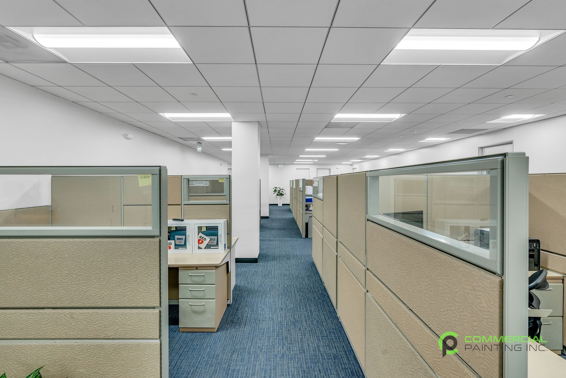A large office with cubicles and a hallway