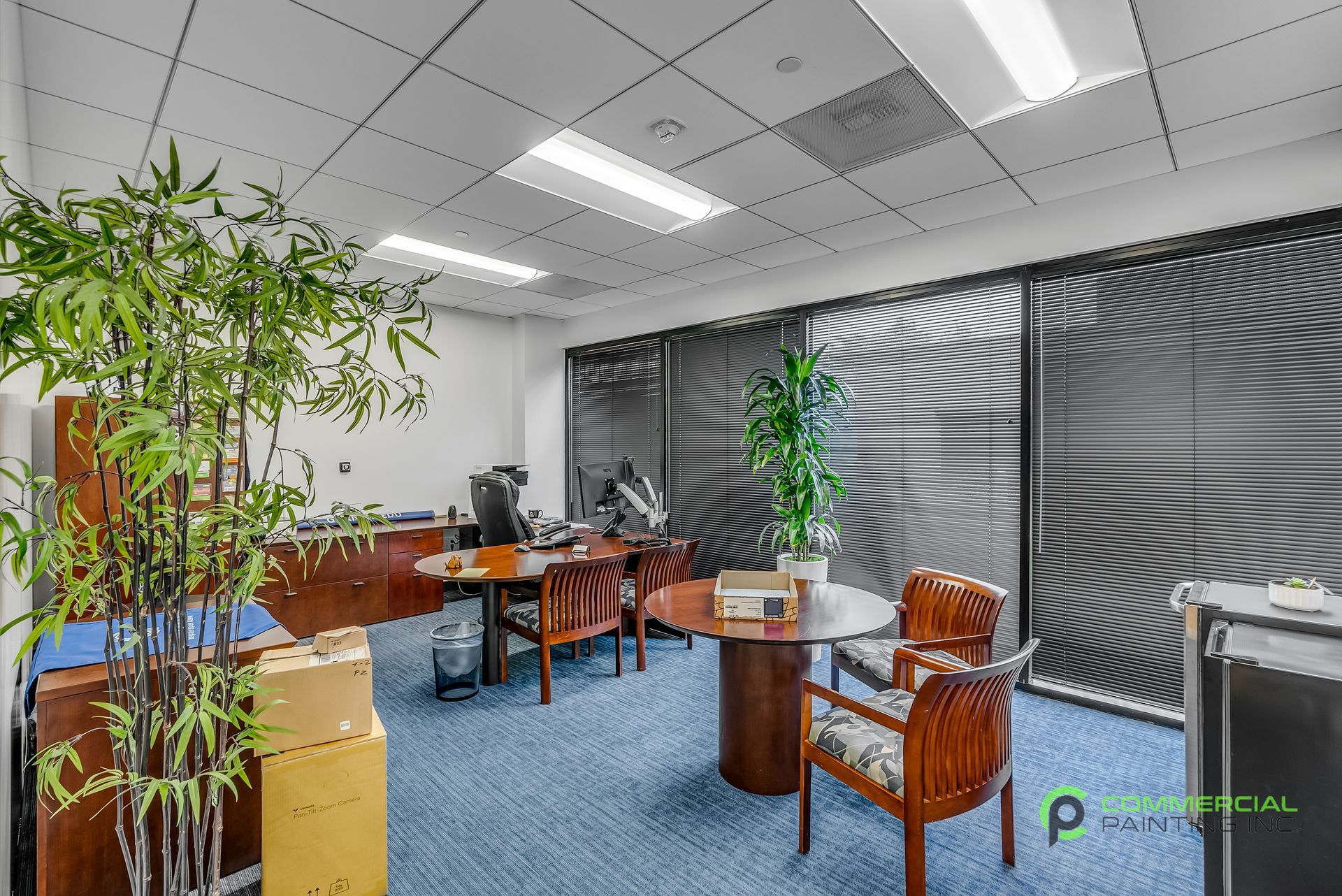 An office with a table and chairs and a plant