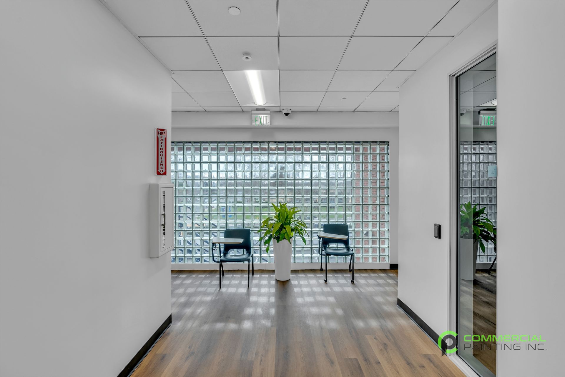 A hallway with chairs and a potted plant in the middle of it.