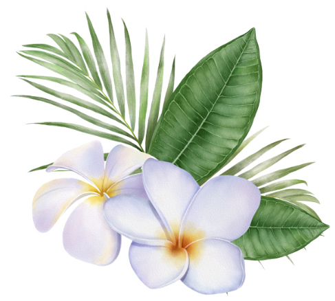 Eine weiße Blume mit grünen Blättern auf weißem Hintergrund