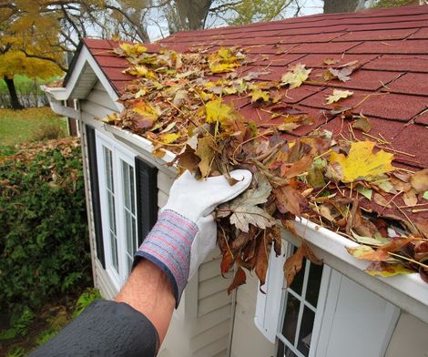 A person is cleaning a gutter of leaves from a house.