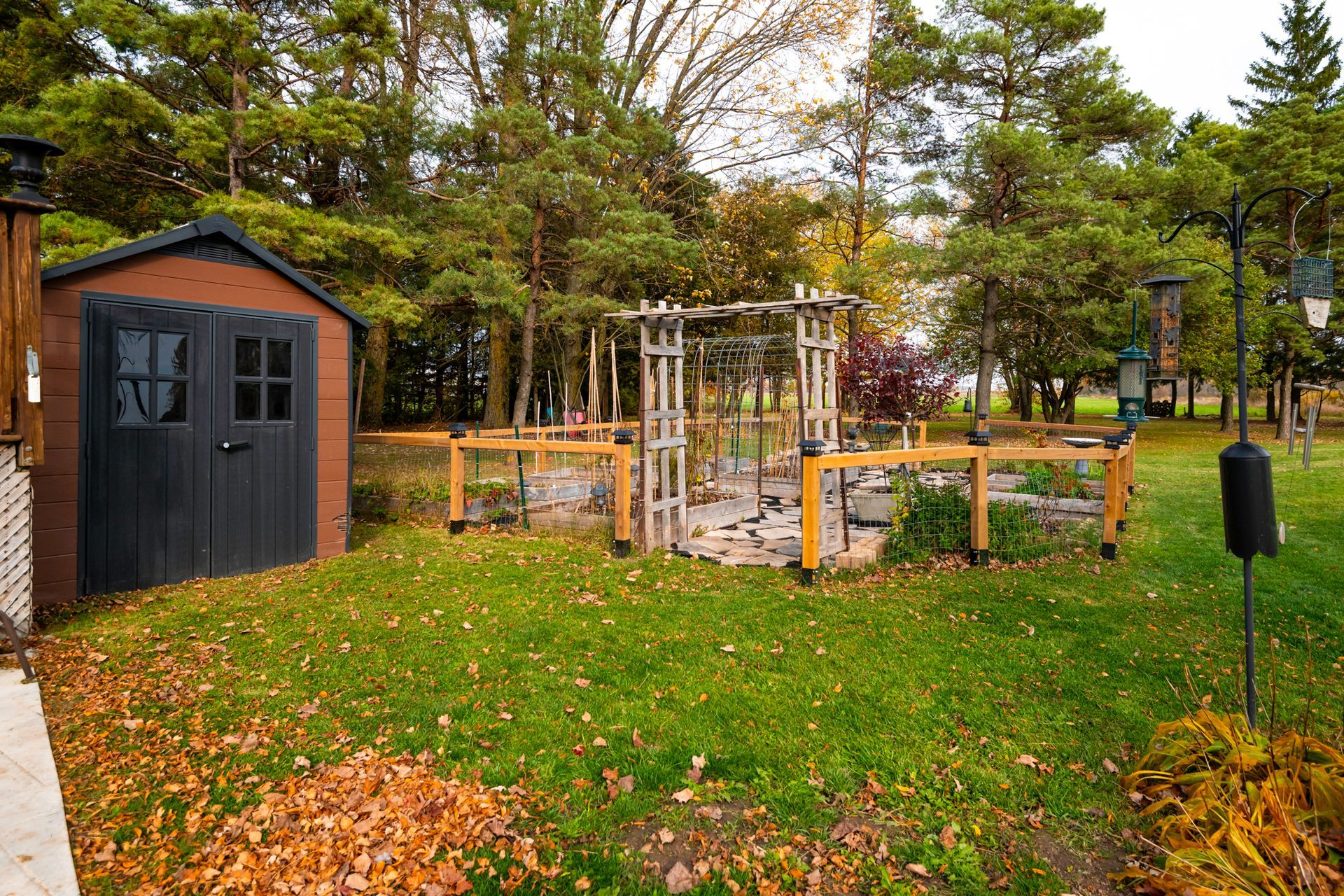 A shed is sitting in the middle of a lush green yard surrounded by trees.