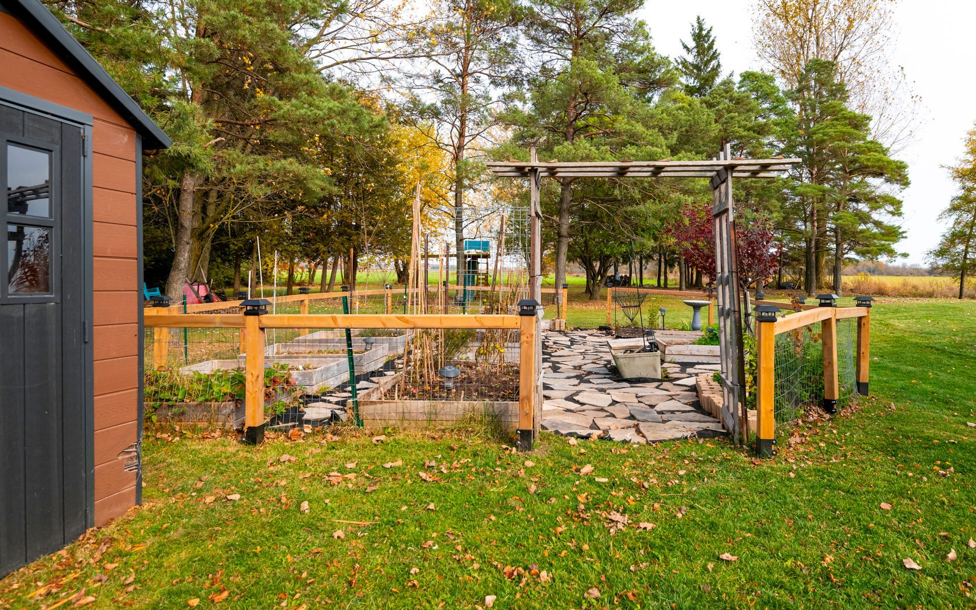 A backyard with a shed and a pergola in the middle of it.