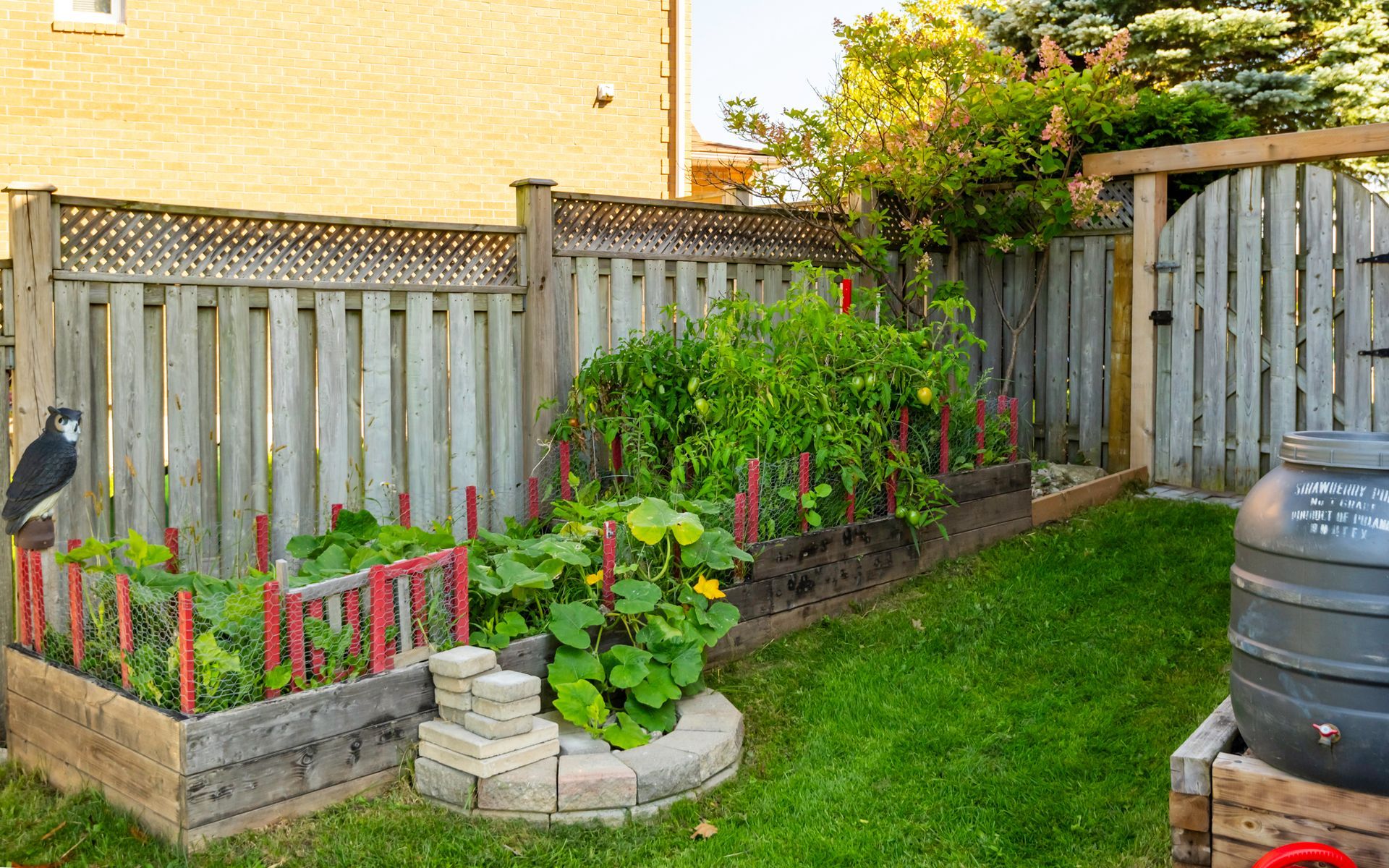 A backyard garden with a wooden fence and lots of plants.