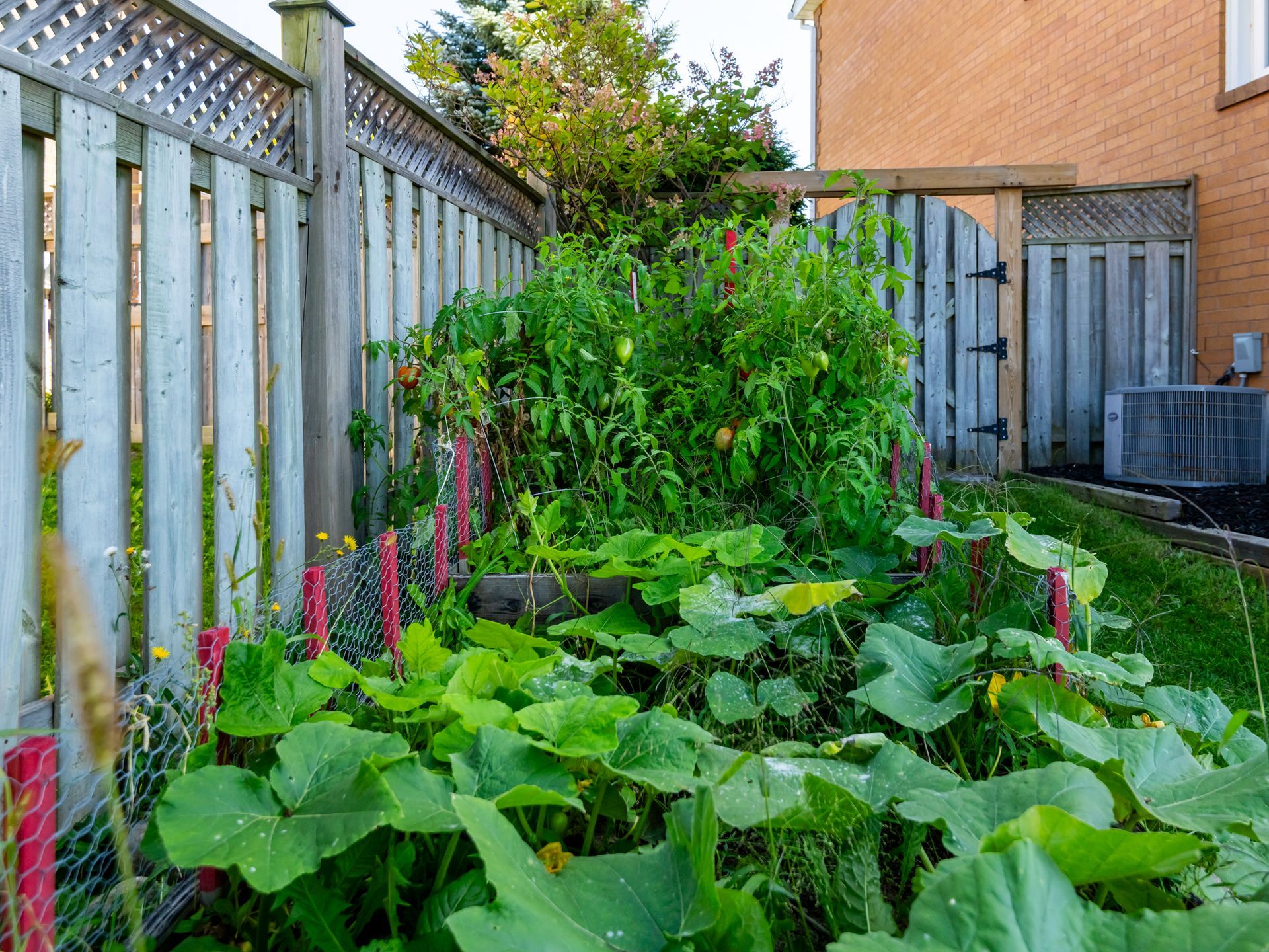 A garden with lots of plants and a fence in the backyard of a house.